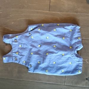 Baby Lemon Oxford Overall janie and jack 6-12 months